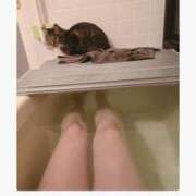 ヒメ日記 2025/04/13 01:48 投稿 れい EIGHT（エイト）～8つのお約束と無限の可能性～