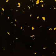 ヒメ日記 2026/03/09 18:00 投稿 れい EIGHT（エイト）～8つのお約束と無限の可能性～