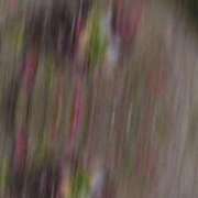 ヒメ日記 2026/04/05 11:08 投稿 れい EIGHT（エイト）～8つのお約束と無限の可能性～