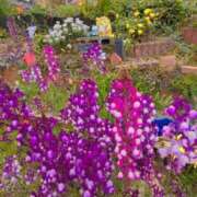 ヒメ日記 2026/04/06 16:58 投稿 れい EIGHT（エイト）～8つのお約束と無限の可能性～