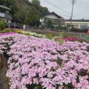 れい Flowerに癒されたい︎💕･*:.｡❁ EIGHT（エイト）～8つのお約束と無限の可能性～