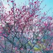 ヒメ日記 2025/02/17 22:59 投稿 水沢　琴音 SM東京　新宿店