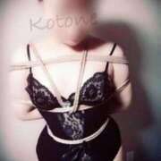 ヒメ日記 2025/02/26 17:09 投稿 水沢　琴音 SM東京　新宿店