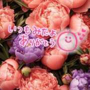 ヒメ日記 2025/04/01 00:12 投稿 水沢　琴音 SM東京　新宿店