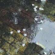 ヒメ日記 2025/04/01 19:49 投稿 水沢　琴音 SM東京　新宿店