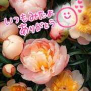 ヒメ日記 2025/04/08 00:39 投稿 水沢　琴音 SM東京　新宿店