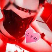 ヒメ日記 2025/04/10 15:29 投稿 水沢　琴音 SM東京　新宿店