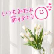 ヒメ日記 2025/04/11 13:49 投稿 水沢　琴音 SM東京　新宿店