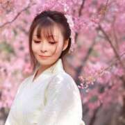 ヒメ日記 2025/04/19 08:29 投稿 水沢　琴音 SM東京　新宿店