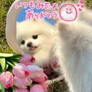 ヒメ日記 2025/04/23 18:29 投稿 水沢　琴音 SM東京　新宿店