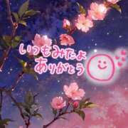 ヒメ日記 2025/04/25 19:09 投稿 水沢　琴音 SM東京　新宿店