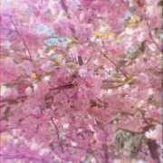 ヒメ日記 2025/04/26 19:29 投稿 水沢　琴音 SM東京　新宿店