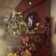 ヒメ日記 2025/05/01 19:03 投稿 水沢　琴音 SM東京　新宿店