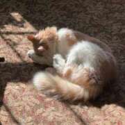 ヒメ日記 2025/06/05 15:29 投稿 水沢　琴音 SM東京　新宿店