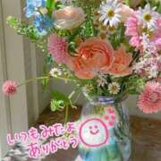 ヒメ日記 2025/06/07 08:19 投稿 水沢　琴音 SM東京　新宿店