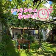 ヒメ日記 2025/06/08 08:19 投稿 水沢　琴音 SM東京　新宿店