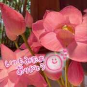 ヒメ日記 2025/06/11 08:19 投稿 水沢　琴音 SM東京　新宿店