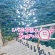 ヒメ日記 2025/06/15 08:09 投稿 水沢　琴音 SM東京　新宿店