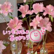 ヒメ日記 2025/06/17 08:19 投稿 水沢　琴音 SM東京　新宿店