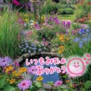 ヒメ日記 2025/06/25 20:09 投稿 水沢　琴音 SM東京　新宿店