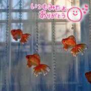 ヒメ日記 2025/07/03 22:59 投稿 水沢　琴音 SM東京　新宿店