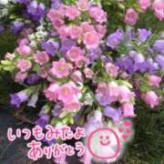 ヒメ日記 2025/07/12 19:39 投稿 水沢　琴音 SM東京　新宿店