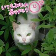 ヒメ日記 2025/07/16 19:39 投稿 水沢　琴音 SM東京　新宿店