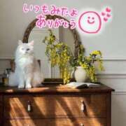 ヒメ日記 2025/07/18 23:39 投稿 水沢　琴音 SM東京　新宿店