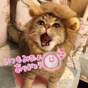 ヒメ日記 2025/07/29 23:09 投稿 水沢　琴音 SM東京　新宿店