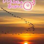 ヒメ日記 2025/08/16 18:49 投稿 水沢　琴音 SM東京　新宿店