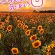 ヒメ日記 2025/08/23 22:12 投稿 水沢　琴音 SM東京　新宿店