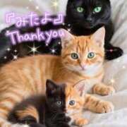 ヒメ日記 2025/08/26 19:09 投稿 水沢　琴音 SM東京　新宿店