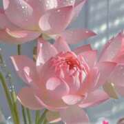 ヒメ日記 2025/08/29 19:19 投稿 水沢　琴音 SM東京　新宿店