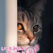 ヒメ日記 2025/09/23 21:59 投稿 水沢　琴音 SM東京　新宿店