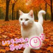 ヒメ日記 2025/09/25 23:29 投稿 水沢　琴音 SM東京　新宿店