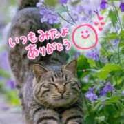 ヒメ日記 2025/09/30 21:39 投稿 水沢　琴音 SM東京　新宿店