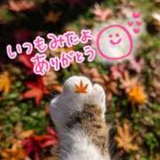 ヒメ日記 2025/10/19 22:49 投稿 水沢　琴音 SM東京　新宿店