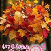 ヒメ日記 2025/10/23 23:49 投稿 水沢　琴音 SM東京　新宿店