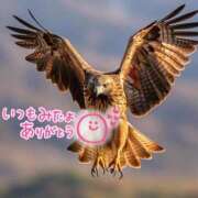 ヒメ日記 2025/10/26 22:29 投稿 水沢　琴音 SM東京　新宿店