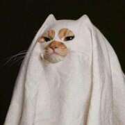 ヒメ日記 2025/10/31 16:10 投稿 水沢　琴音 SM東京　新宿店