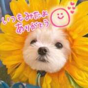 ヒメ日記 2025/10/31 17:19 投稿 水沢　琴音 SM東京　新宿店