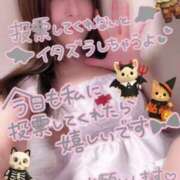 ヒメ日記 2025/11/01 00:49 投稿 水沢　琴音 SM東京　新宿店