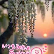 ヒメ日記 2025/11/08 00:09 投稿 水沢　琴音 SM東京　新宿店