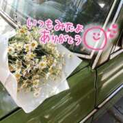 ヒメ日記 2025/11/11 23:49 投稿 水沢　琴音 SM東京　新宿店