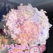 ヒメ日記 2025/11/17 03:59 投稿 水沢　琴音 SM東京　新宿店