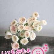 ヒメ日記 2025/11/22 04:59 投稿 水沢　琴音 SM東京　新宿店