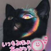 ヒメ日記 2025/11/26 23:49 投稿 水沢　琴音 SM東京　新宿店