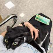 ヒメ日記 2025/12/09 13:19 投稿 水沢　琴音 SM東京　新宿店