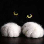 ヒメ日記 2026/03/27 13:13 投稿 水沢　琴音 SM東京　新宿店