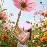 ヒメ日記 2026/04/01 19:29 投稿 水沢　琴音 SM東京　新宿店